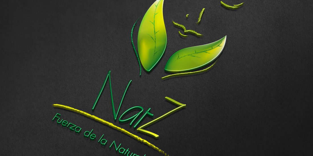 Création du logo NaturaleZa